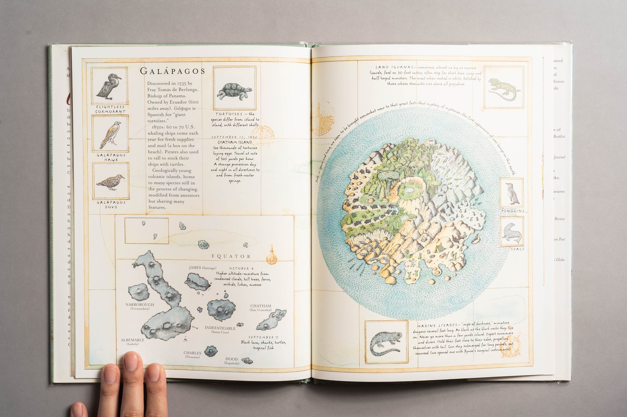 The Tree of Life: A Book Depicting the Life of Charles Darwin : Naturalist, Geologist & Thinker (中譯：生命之樹：查爾斯．達爾文 (含藝術家親簽）)